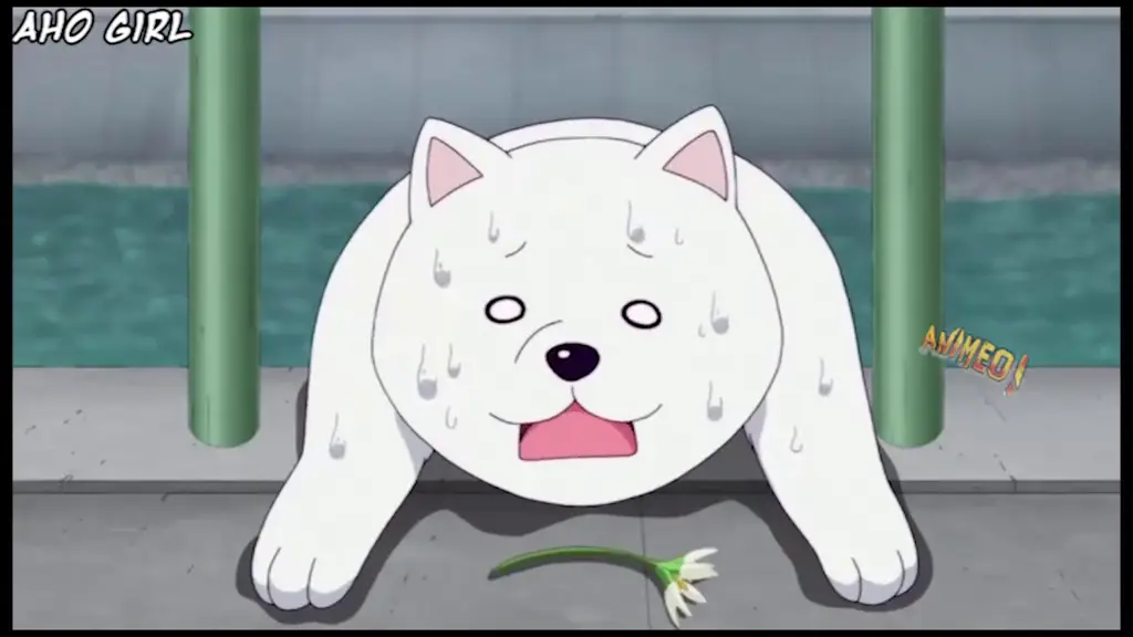 Humor dalam Anime Nande Koko ni Sensei Adegan-adegan lucu dari anime